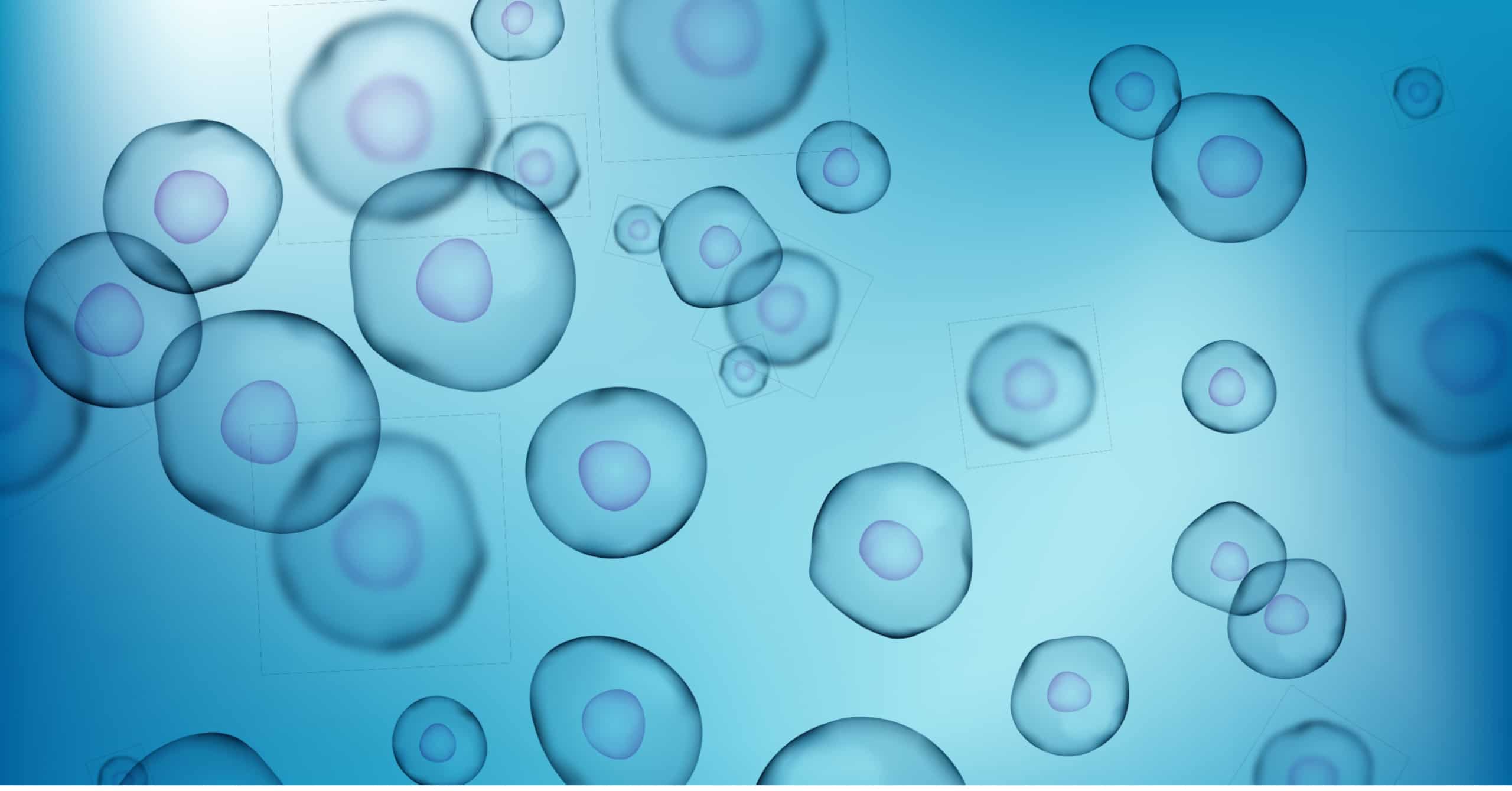 Stem cells illustration for regenerative medicine at Cendant Stem Cell Center.