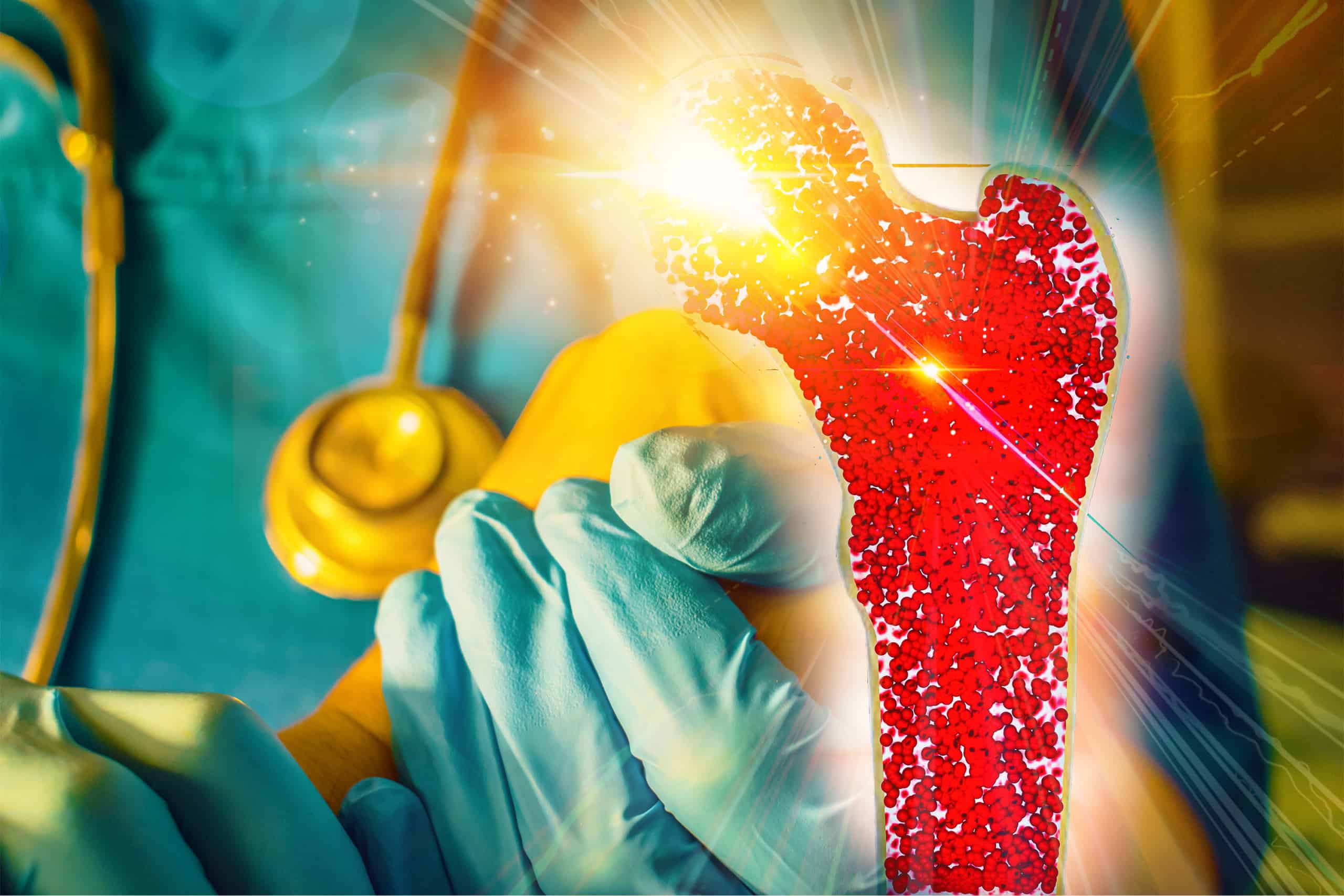 two types of bone marrow stem cells in Denver, CO